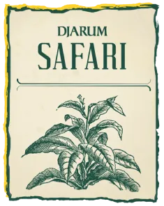 Djarum Safari